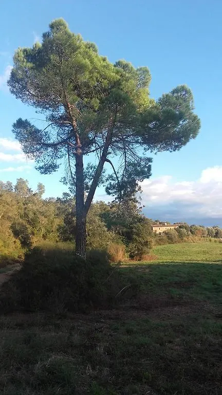 Hotel Casa Mas Gran Santa Cristina d'Aro